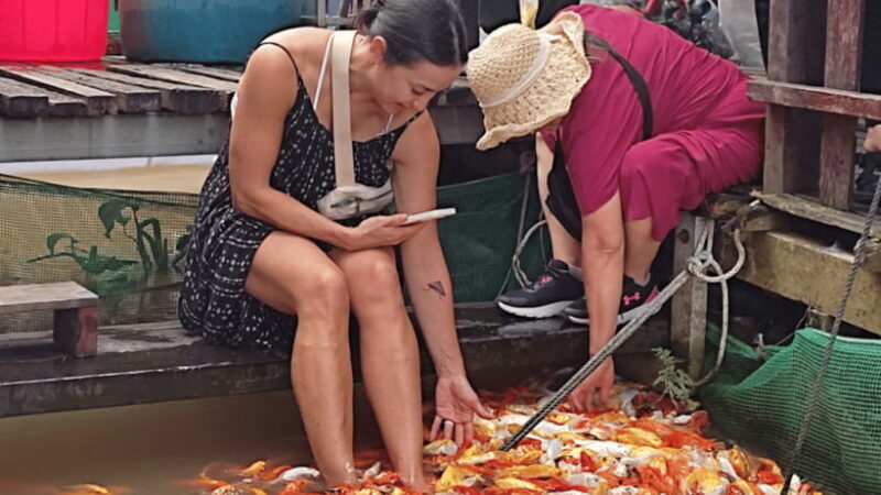 Ho Chi Minh: 2-Day Authentic Mekong Delta-Can Tho (No-Shop) - Important Information