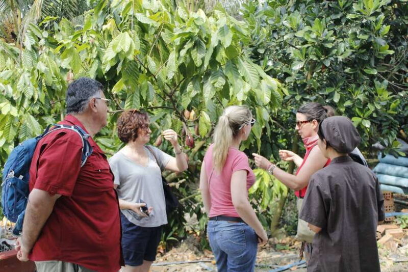 Ho Chi Minh: Cai Be-Mekong Delta Local Village Full Day Tour - Cultural Immersion and Experiences