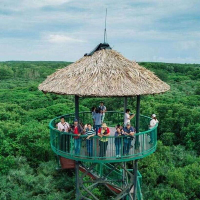 Ho Chi Minh: Can Gio Mangrove and Monkey Island - Transportation and Pickup Details