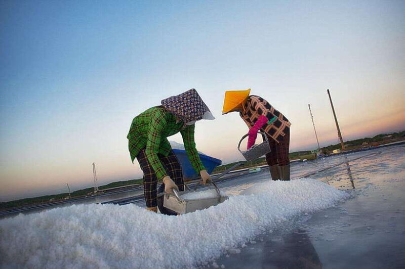 Ho Chi Minh: Can Gio Monkey Island & Salt Kingdom - Salt-Making Demonstration