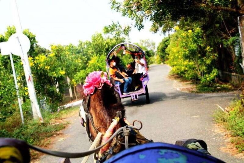 Ho Chi Minh City: 2-Day Mekong Delta Tour With Accommodation - Inclusions and Exclusions