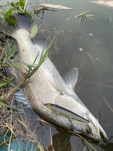 Ho Chi Minh City: Barramundi Fishing Day Tour - Activity Details
