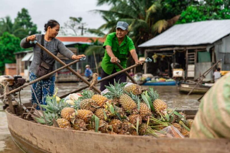 Ho Chi Minh City: Cai Rang Floating Market in Can Tho Tour - Son Islet Exploration