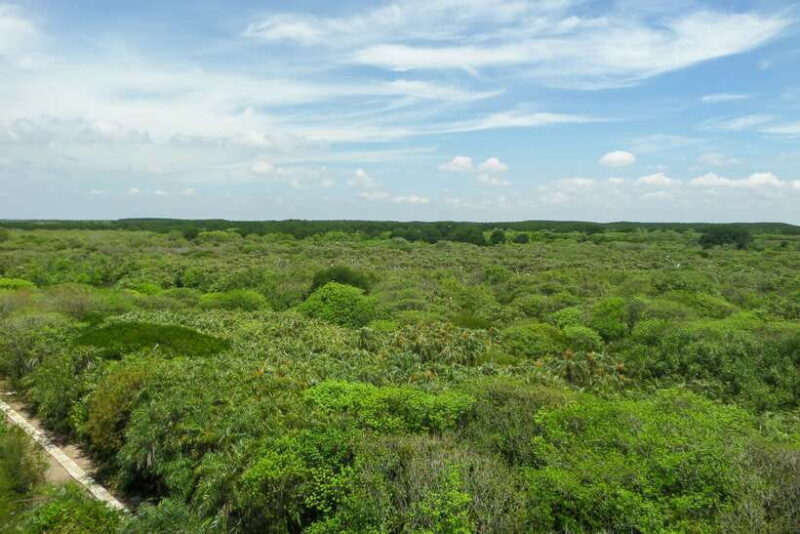 Ho Chi Minh City: Can Gio Eco Escape And Wildlife Discovery - Pickup and Transportation