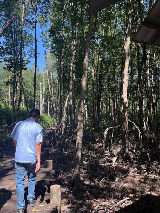 Ho Chi Minh City: Can Gio Mangrove Forest Monkey Island - Exploring the Can Gio Mangrove Forest