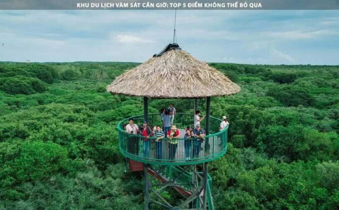 Ho Chi Minh City: Can Gio Monkey Island Day Trip With Lunch - Visiting the Crocodile Sanctuary