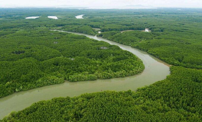 Ho Chi Minh City: Can Gio Monkey Island Day Trip With Lunch - Discovering the Crocodile Area and Can Gio Resort