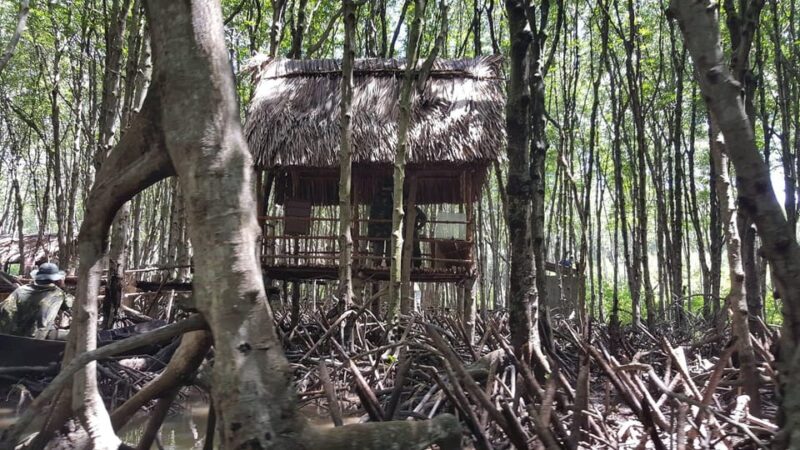 Ho Chi Minh City: Can Gio Monkey Island Day Trip With Lunch - Itinerary Highlights