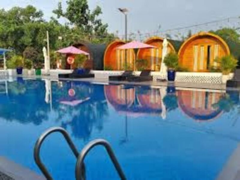 Ho Chi Minh City: Can Gio Monkey Island Day Trip With Lunch - Customer Feedback