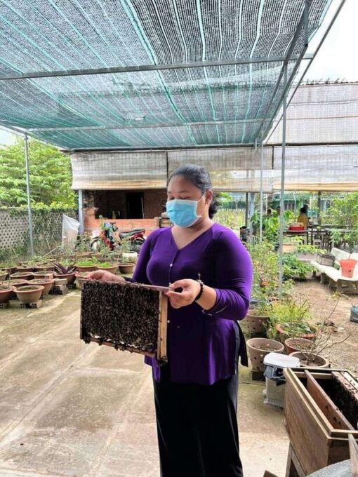 Ho Chi Minh City: Cu Chi Tunnels and Mekong Delta Day Trip - Transportation and Guide