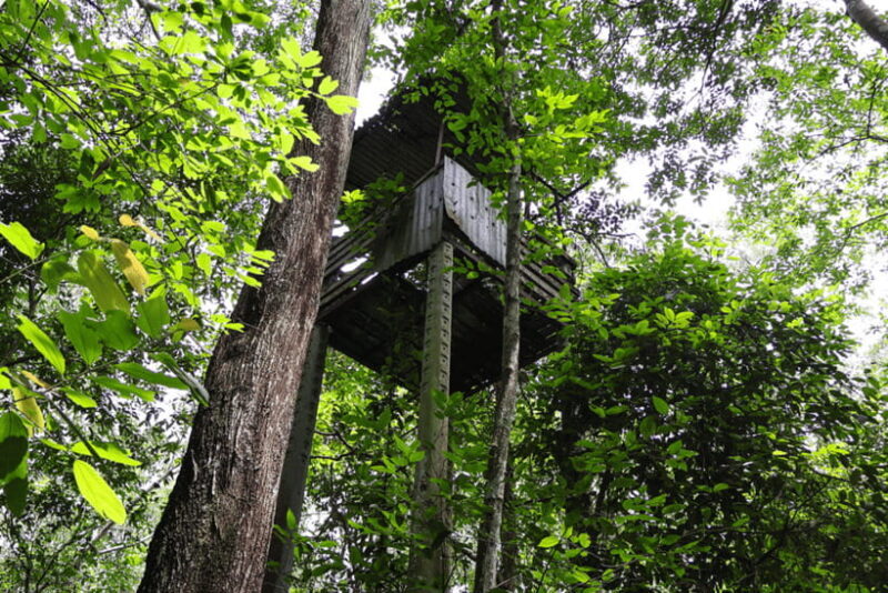 Ho Chi Minh City: Cu Chi Tunnels Eco Boat Tour - Scenic Boat Journey to Cu Chi Tunnels