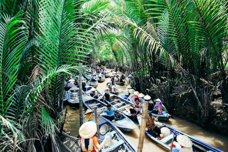 Ho Chi Minh City: Exploring The Flavors Of The Mekong Delta - Important Information