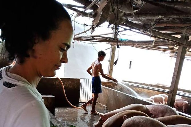 Ho Chi Minh City Full-Day Farm Trip With Healthy Cooking Class - Explore the Local Farm