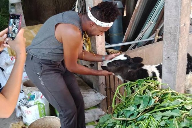 Ho Chi Minh City Full-Day Farm Trip With Healthy Cooking Class - Authentic Cooking Class