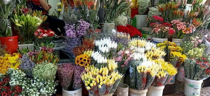 Ho Chi Minh City: Half-day Shopping Journey - Experiencing Vietnams Artistic Heritage