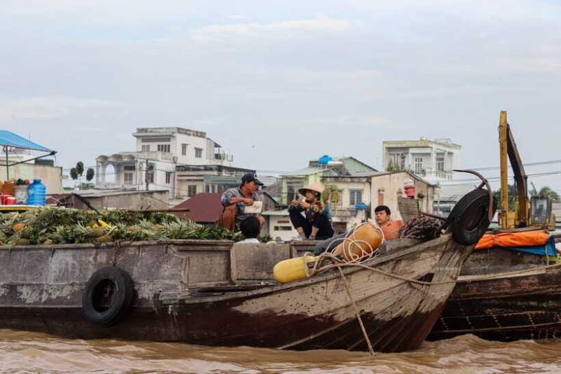 Ho Chi Minh City: Mekong Delta Full-Day Tour - Departure From Ho Chi Minh City