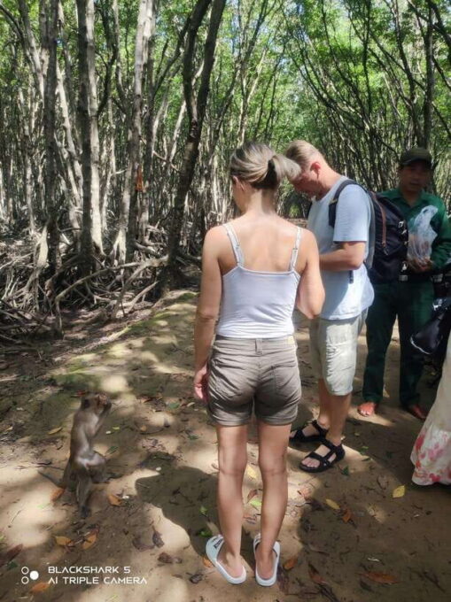 Ho Chi Minh City: Monkey Island PRIVATE WITH KAYAK - Encounter the Monkeys of Monkey Island