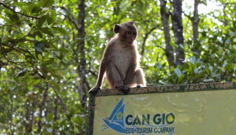 Ho Chi Minh Eco Tour: Private Can Gio Monkey Island - Key Points