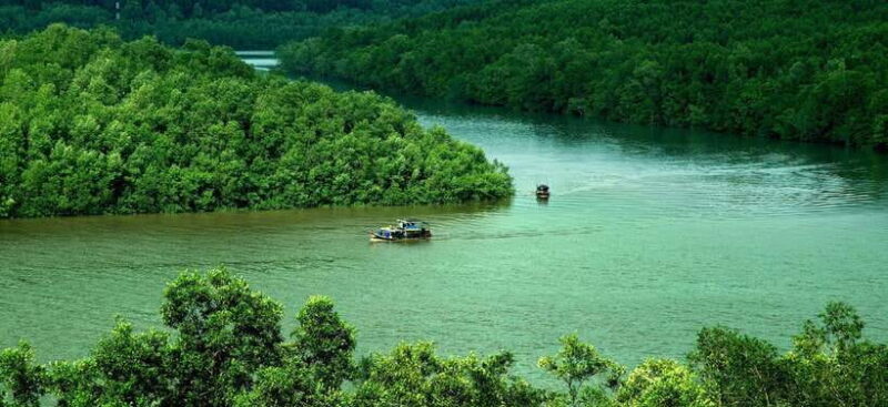 Ho Chi Minh Eco Tour: Private Can Gio Monkey Island - Exploring the Mangrove Forest