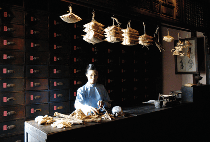 Ho Chi Minh: Fito Museum Admission Ticket - Visitor Information