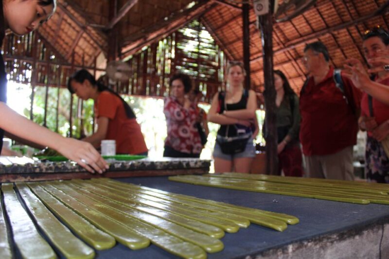 Ho Chi Minh: Mekong Delta Cai Be Floating Market Day Tour - Inclusions and Exclusions