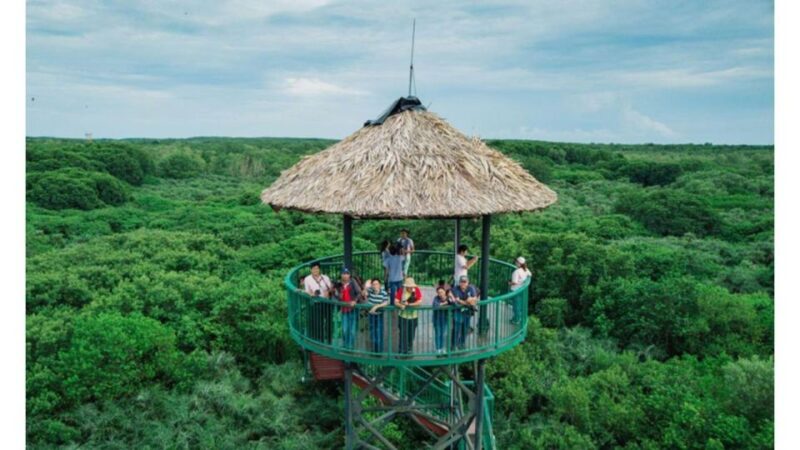 Ho Chi Minh: Private Can Gio Mangrove Forest Day Tour - Departure and Transportation