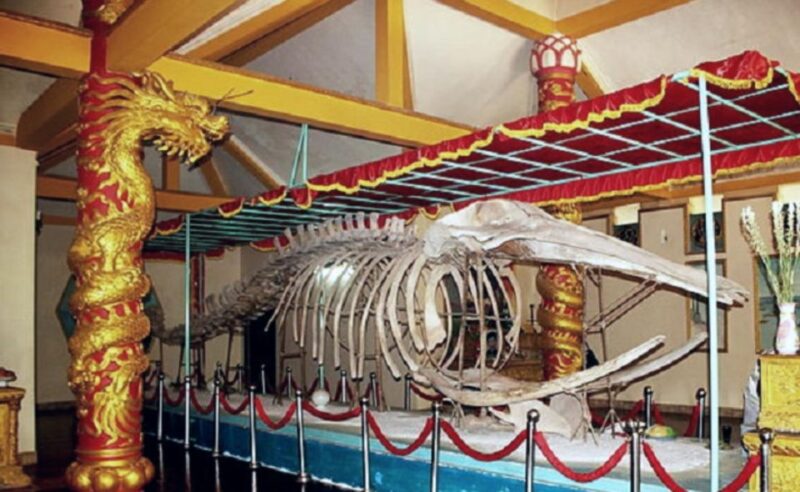 Ho Chi Minh: Private Guided Vung Tau Beach by Car - Visiting the Thang Tam Temple