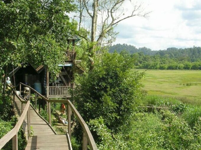 Ho Chi Minh to Cat Tien National Park – Dalat (3 Days) - Journey to Dalat