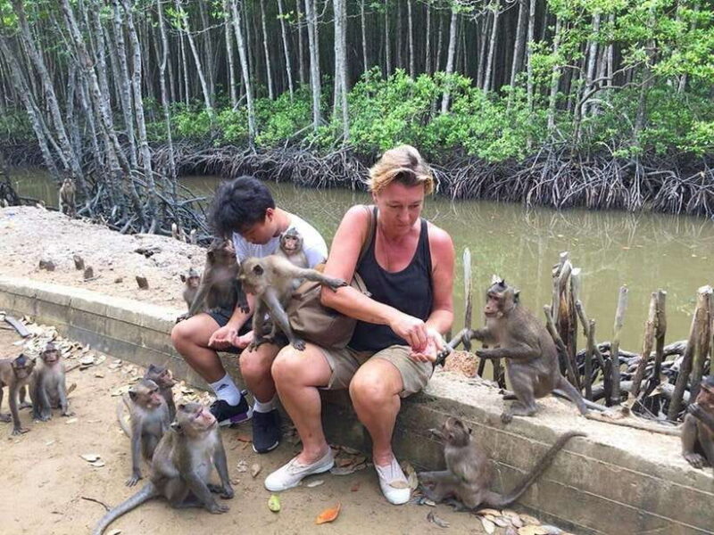 Ho Chi Minh:Can Gio Mangrove Forest W Guide Picked at Hotel - Key Points