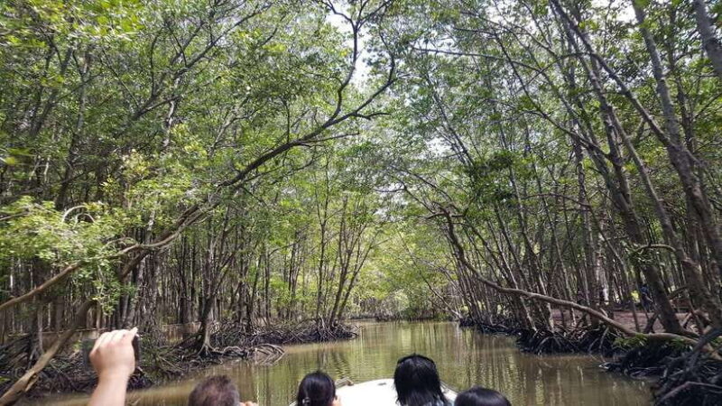 Ho Chi Minh:Can Gio Mangrove Forest W Guide Picked at Hotel - Included Services