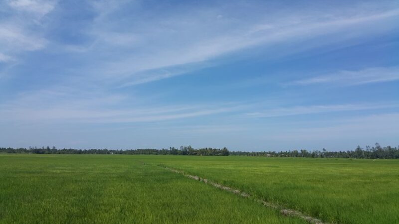 Ho Coc Beach, Nature Reserve & Dragon Fruit Farm Day Tour - Activities Included