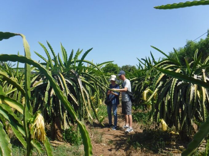 Ho Coc Beach, Nature Reserve & Dragon Fruit Farm Day Tour - Relaxation at Ho Coc Beach