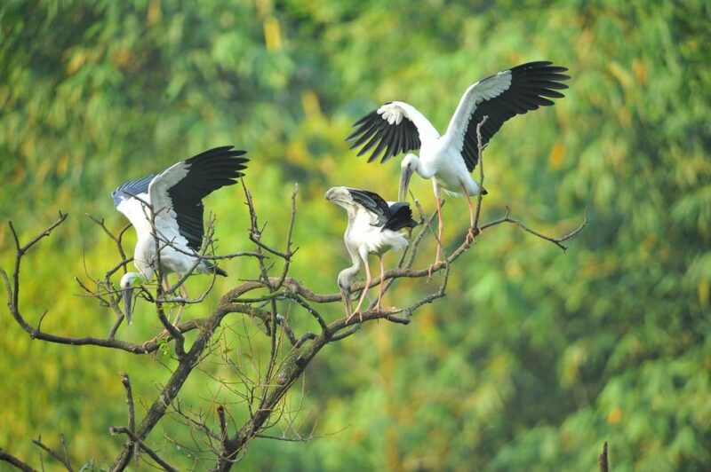 Hoa Lu Ancient - Bich Dong & Thung Nham Bird Valley - Inclusions
