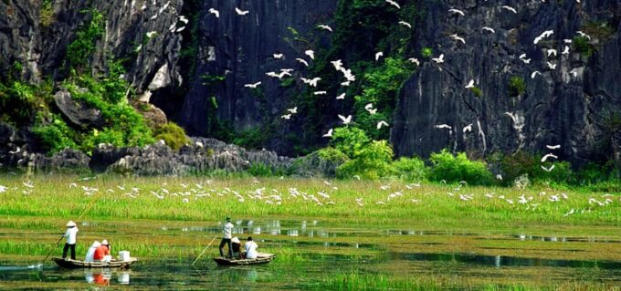 Hoa Lu Ancient - Bich Dong & Thung Nham Bird Valley - Group Size and Language