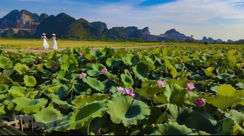 Hoa Lu - Mua Cave - Tam Coc Bich Dong - Biking & Boat Trip - Experience Highlights