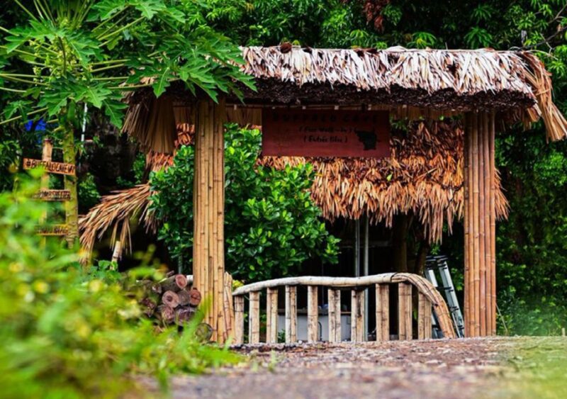 Hoa Lu - Tam Coc - Buffalo Cave 2 Days 1 Night Eco Tour - Hoa Lu Ancient Capital