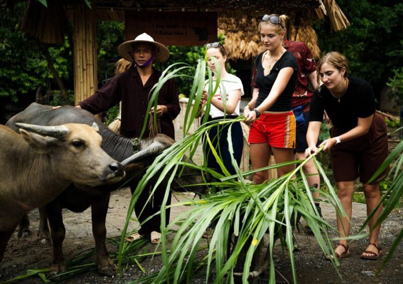 Hoa Lu - Tam Coc - Buffalo Cave 2 Days 1 Night Eco Tour - Tam Coc Boat Trip