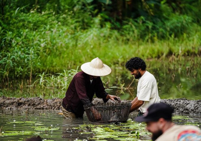 Hoa Lu - Tam Coc - Buffalo Cave 2 Days 1 Night Eco Tour - Accommodation