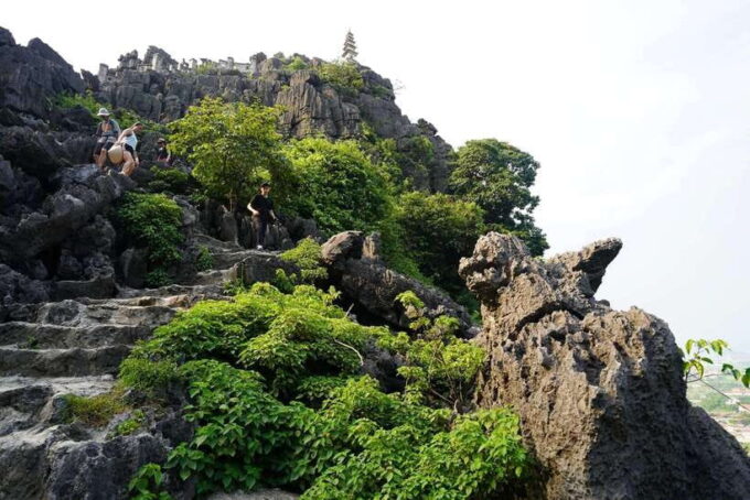 Hoa Lu-Tam Coc-Mua Cave -Bich Dong Pagoda-Cycling From NBINH - Since You Asked