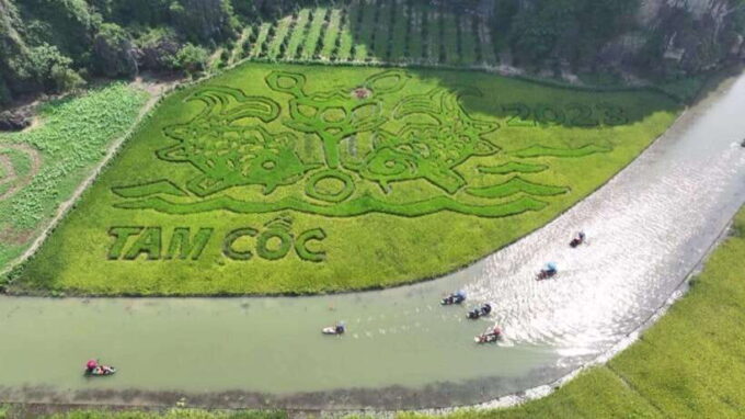 Hoa Lu – Tam Coc – Mua Cave: Full-Day Adventure Tour - What to Know Before You Go