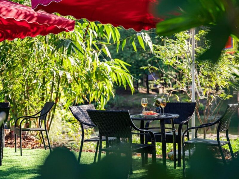 Hoa Lu - Tam Coc - Mua Cave / Limousine Transfer - Hoa Lu Guided Tour