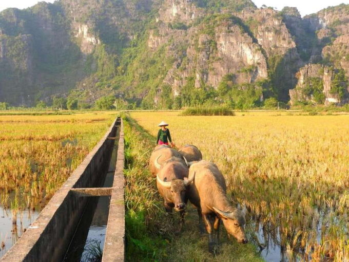 Hoa Lu - Trang An - Mua Cave Small Group - Transportation and Amenities