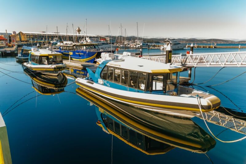 Hobart: 2.5-hour Iron Pot Lighthouse Cruise - Language and Cancellation Policy