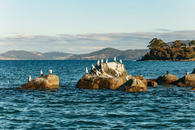 Hobart: 2.5-hour Iron Pot Lighthouse Cruise - Importance of Maritime Experiences