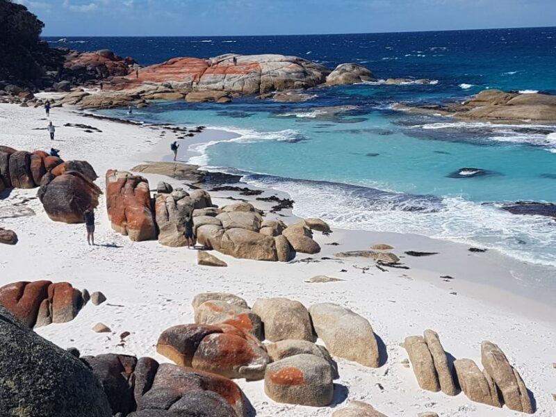 Hobart: 4 Day Wild Tasmania Tour - Highlights of the Tour