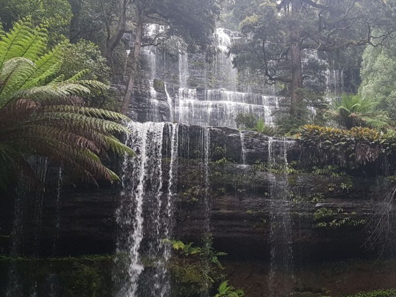 Hobart: 4 Day Wild Tasmania Tour - Important Information