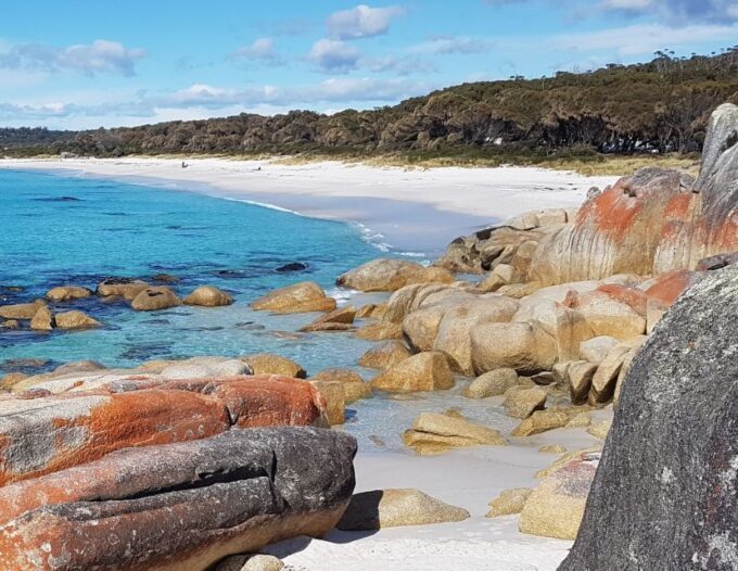 Hobart: 4 Day Wild Tasmania Tour - Stunning Beaches of Bay of Fires
