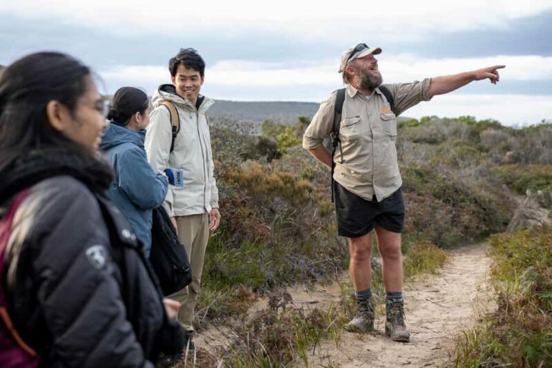 Hobart: Bruny Island Adventure: Hike, Highlights & Tastes - An Authentic Taste of Tasmania’s Wild Side