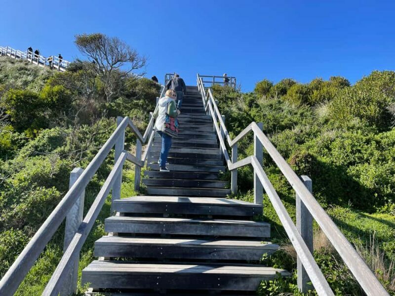 Hobart: Bruny Island Adventure: Hike, Highlights & Tastes - Climb and Panoramic Views