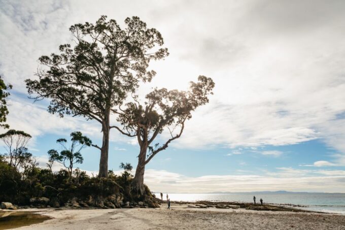 Hobart: Bruny Island Adventure With Lunch & Lighthouse Tour - Tour Highlights and Important Information